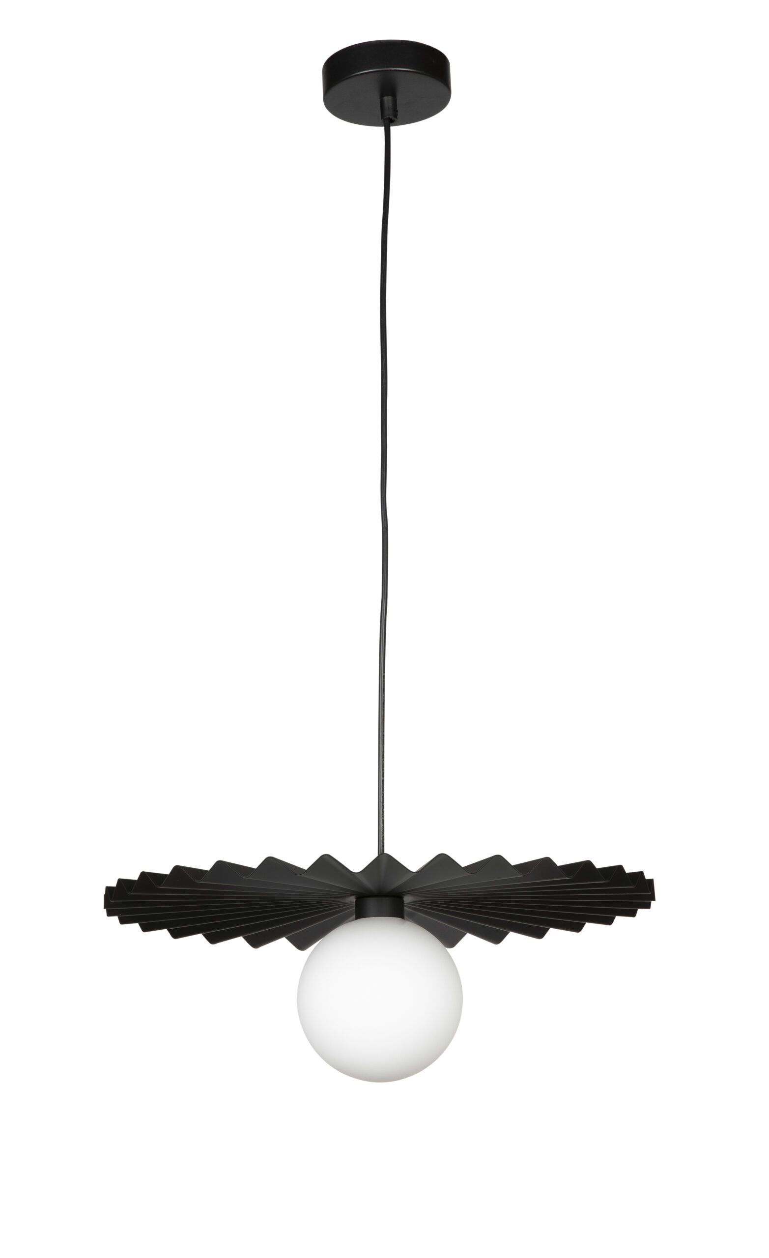 Portobello400B